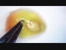 012 ミニトマトの皮を剥いたら生命を感じた　 高倍率毛抜き Dr.tweezers Remove hair microscope 毛抜先生 닥터 족집게