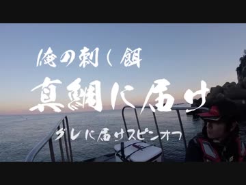 【フカセ釣り】グレに届けスピンオフ「真鯛に届け」
