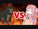茜ちゃんVSゴリラ
