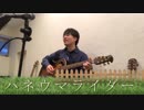 ハネウマライダー　ポルノグラフィティ　【弾き語りカバー】