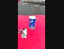 旅先にて・・・