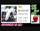2-B 桜井誠、奉祝 令和元年 提灯行列　菜々子の独り言　2019年5月1日(水）