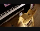 猫に太陽拳をされて目が見えません