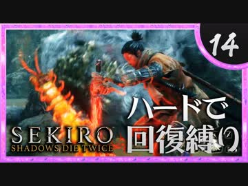 卍【SEKIRO】首取れても好き【苦難厄憑回復縛り】14