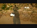 猫さんシュート