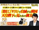 「徴用工」「WTO」で自滅する韓国。天皇陛下・上皇陛下の「訪韓」という目論見｜みやわきチャンネル（仮）#439Restart297