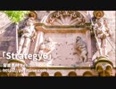 【無料フリーBGM】勇ましい中世オーケストラ「Strategy6」