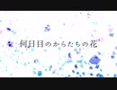 【ニコラップ】カラタチノハナ【トップチェスト】