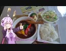 ゆかりさんと行ってみよう！やってみよう！【静岡県で吊り橋巡り編 その２】