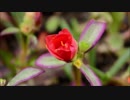 Phillip Fields_ Ethereal_Remix DJ Phantom 7_ New Mix