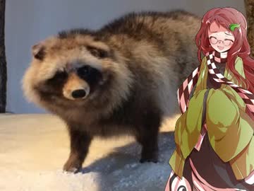 タヌキに天下を取らせた漢達①【平岩親吉】