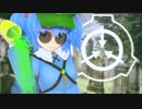 にとりのSCPレポート#収デン