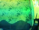 【歌ってみた】WAVE　ver.餅猫