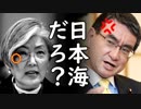 韓国が米NY国連本部で日本に再び耳を疑う主張を展開し世界中に嘘を拡散しようと必死過ぎて草