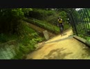 自転車　20190503　落車