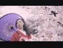 【日本舞踊】SAKURA-Japanese dance【桜雅】