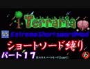 [Terraria+MOD]　ショートソード縛りEX パート１７　[ゆっくり実況]