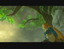 【実況】十五の掟で挑むブレスオブザワイルド～part.62～