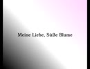 【オリジナル曲】Meine Liebe, Süße Blume