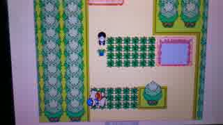ポケットモンスターM #31～#40【うごメモ3D】