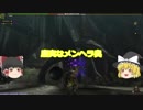 MHFもゆっくりも初心者だけどエスピナス倒す