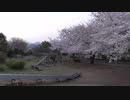 低級家具日記　第149日目その3