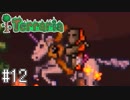【Terraria】U　C　テ　ラ　リ　ア　part12【縛り実況】