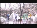 【刀剣乱舞】桜の下で踊ってみた～唯一、愛ノ詠～