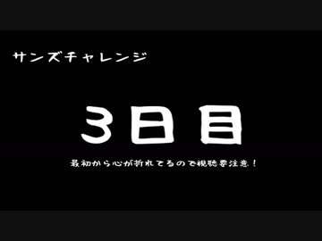 【初見実況】Undertaleを実況してみた【その39.8】