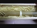 チョコレートを食べる動画 part9