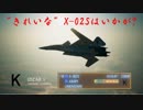 Ace Combat 7 Multiplayer62  バトルロイヤル  X-02S + 4AAM