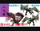 【MHXX縛り実況 真#45】♀!雌!!姫!!!VSリオレイア×2、紫毒姫リオレイア