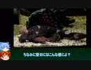 【３分水槽】part14「ちょっとだけコクリオドン」
