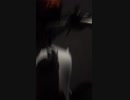 車載動画テスト