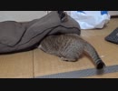 ＃96　カメラマンパニック！？