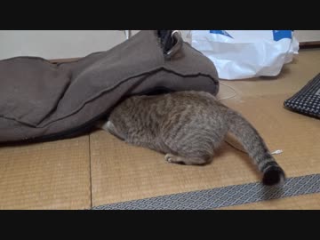 ＃96　カメラマンパニック！？