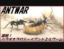 パラポネラVSジャイアントミルワーム～巨大VS巨大～