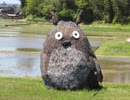 田んぼにトトロ出現。