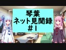 琴葉姉妹のインターネット見聞録 #1