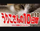 うりこさんの10日間 - 2019#10