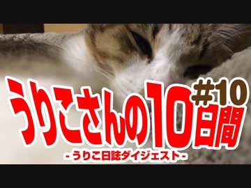 うりこさんの10日間 - 2019#10