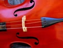 Duo Concertante per Violin e Pianoforte