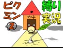 【ピクミン2×縛り×タイムトラベル】1匹も死なせはしないい！いつも近くで見守ってるよおお！！part3