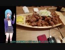 【レポ動画】2019/05/04　声月初参加