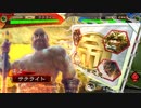 【ﾍﾀﾚ】三国志大戦4Ver.2.5.0A【サテライト】126回