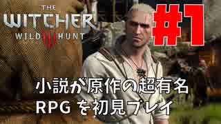 【ウィッチャー3 ワイルドハント】#1 小説が原作の超有名RPGを初見プレイ！【実況】