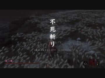 【隻狼/SEKIRO】弦ちゃんと一心　8周目