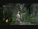 DARK SOULSをクリアすることが出来るのだろうか【緩やかなる実況】PART9