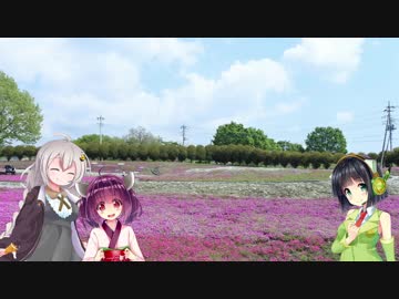 京町セイカの終わらないドライブPart 9（芝桜と箕輪城とフルーツライン）【VOICEROID車載】