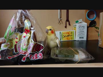 子供の日・亡き父の繋いだ御縁